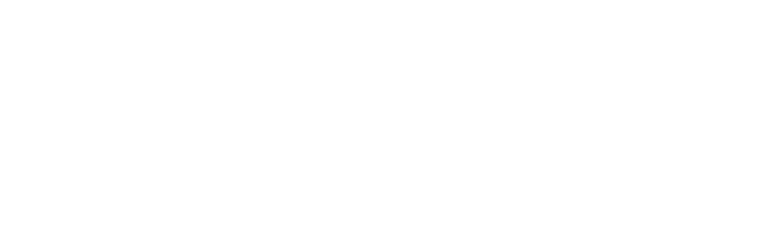 NuVizion Studio